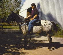 Just a lazy day at the barn