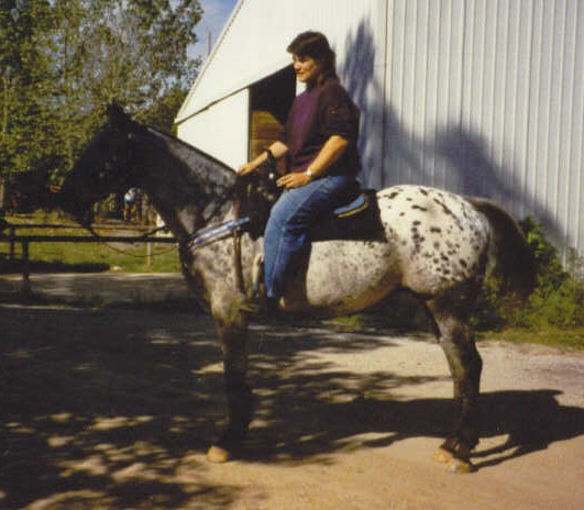 Just a lazy day at the barn
