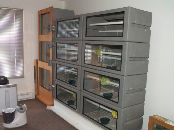 still more of our reptile room