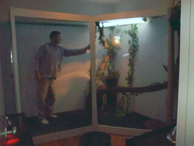 custom made terrarium by jd terrariums 416-816-3116