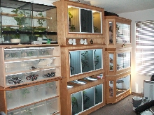 Our new reptile room ...