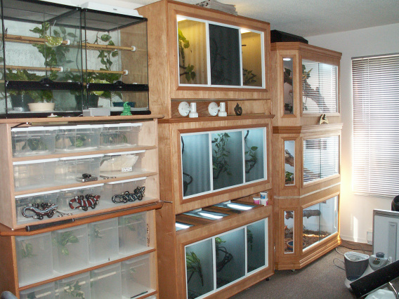 Our new reptile room ...
