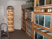 reptile room