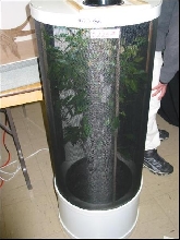 screen terrarium