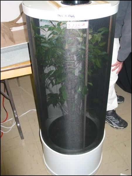 screen terrarium