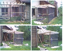 all four views of new turtle cage
