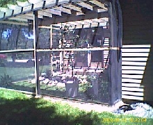 new pond with pergola 1