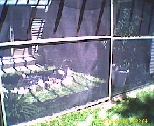 new pond with pergola