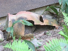 sparky hiding
