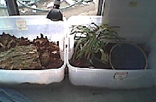 Indoor setup