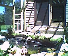 new pond with pergola