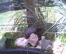 snappy posing for a pic