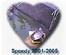 speedy memorial