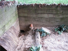 rabbit tunnel