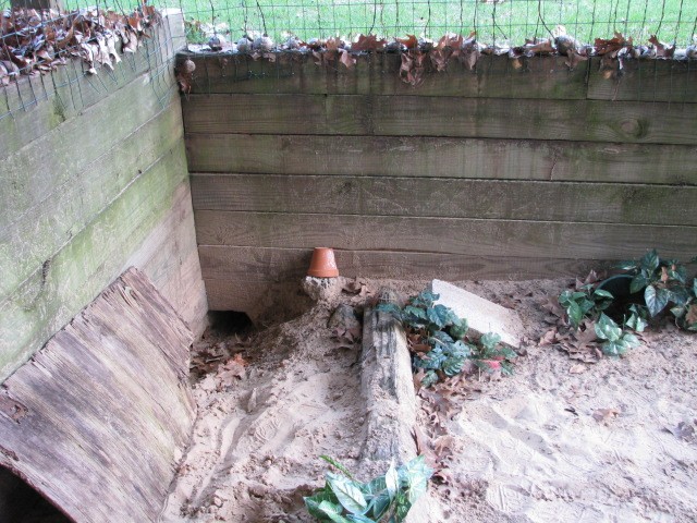 rabbit tunnel
