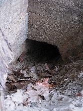tunnel close up