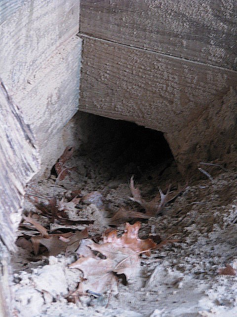 tunnel close up