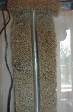 Top of drip wall