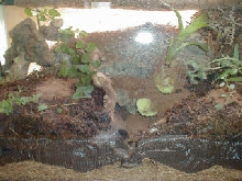 10gal-6