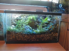 10 g 407