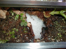 10gal-10