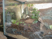 10gal-5 lt