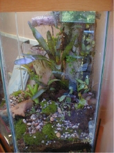 20 hex right view planted