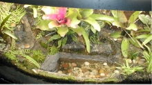 Bow tank center finished