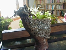 Chicken dragon side