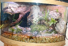 Corner bow