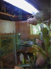 Frogs' eye view of room
