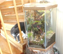 Hexagonal 30 gal. 2
