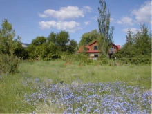 View of house