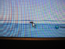 Computer spider after mouse pointer