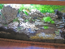 55 g. using rock wool for false bottom