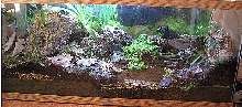 55 g with rockwool false bottom