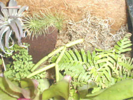 left top center