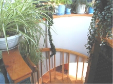 spiral staircase 2