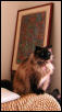 Regal Buster