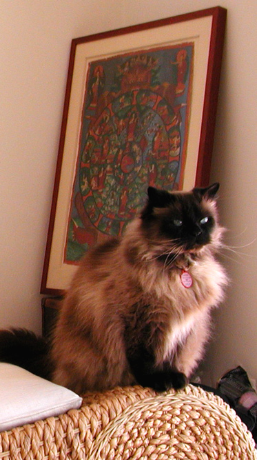 Regal Buster