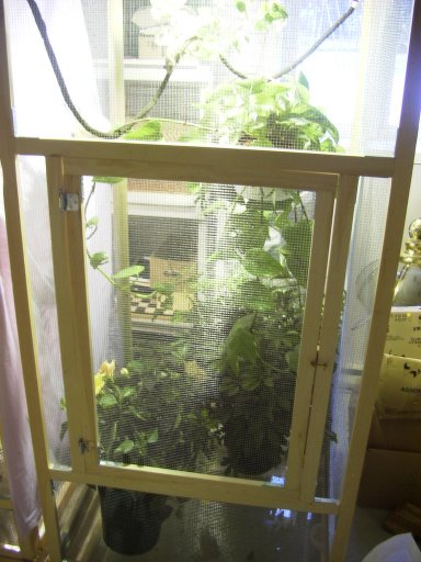 Cage