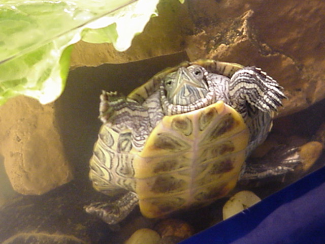 Chillin'