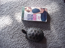 How big is he now?