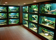 cages 3