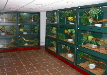 cages