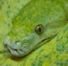 asdf