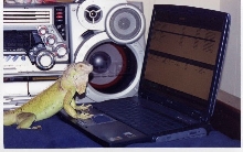 computer geek