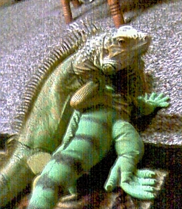 gizmo vs stuffed iguana:)