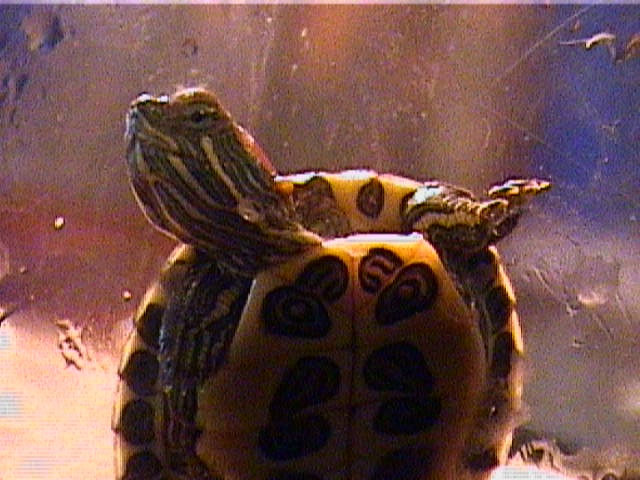 My RES as a baby!