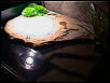 RES basking rock